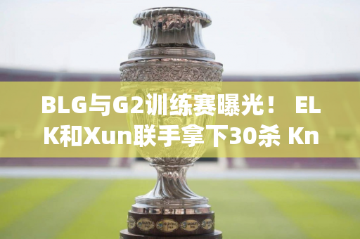 BLG与G2训练赛曝光！ ELK和Xun联手拿下30杀 Knight被大帽压制