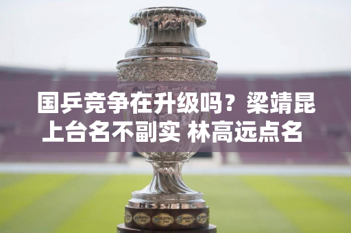 国乒竞争在升级吗？梁靖昆上台名不副实 林高远点名 王浩或将再出手