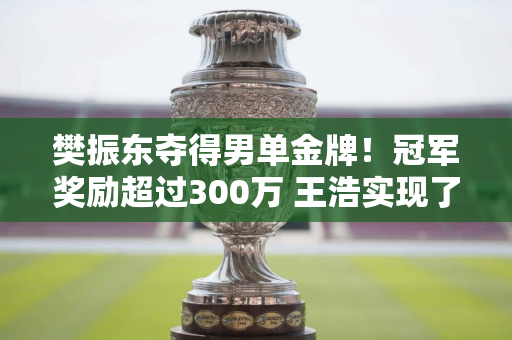 樊振东夺得男单金牌！冠军奖励超过300万 王浩实现了他的巴黎梦想 他会获得多少奖金？