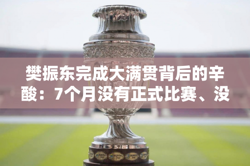 樊振东完成大满贯背后的辛酸：7个月没有正式比赛、没有陪练人员、没有大满贯后勤